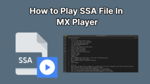How to Play SSA File In MX Player